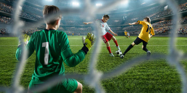 敏捷与激情 敏捷与激情